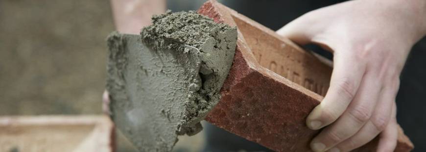 Tomi Katarzyna Lewandowska