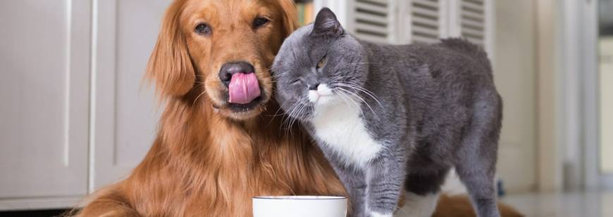 Tobi Artykuły Zoologiczne