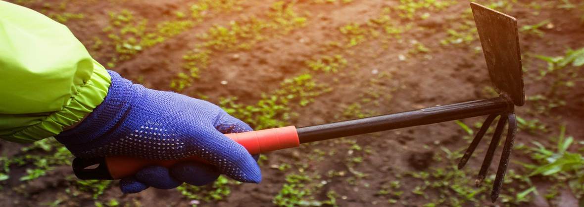 TAZ Narzędzia Ogrodnicze Marta Frąckowiak