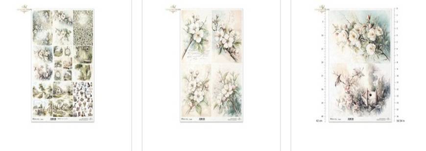 Pracownia Dla A Paczy i Dłubaczy