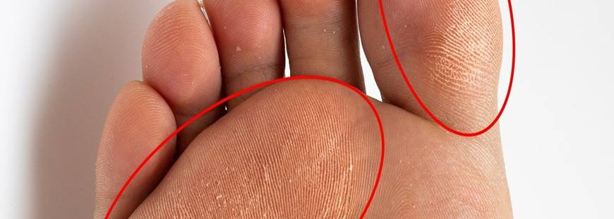 Renata Marcińczyk Podo-Esthetic