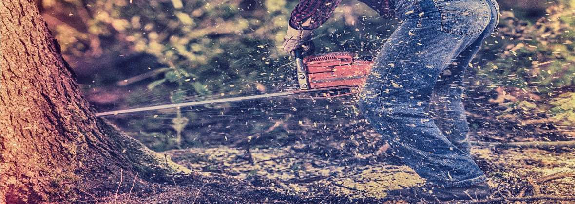 PU Lemar Marek Lewandowski