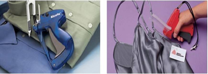 Gecko Krzysztof Lewosz