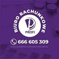 Profi Care Sp. z o.o. Sp.k. - Rewidenci i usługi audytorskie