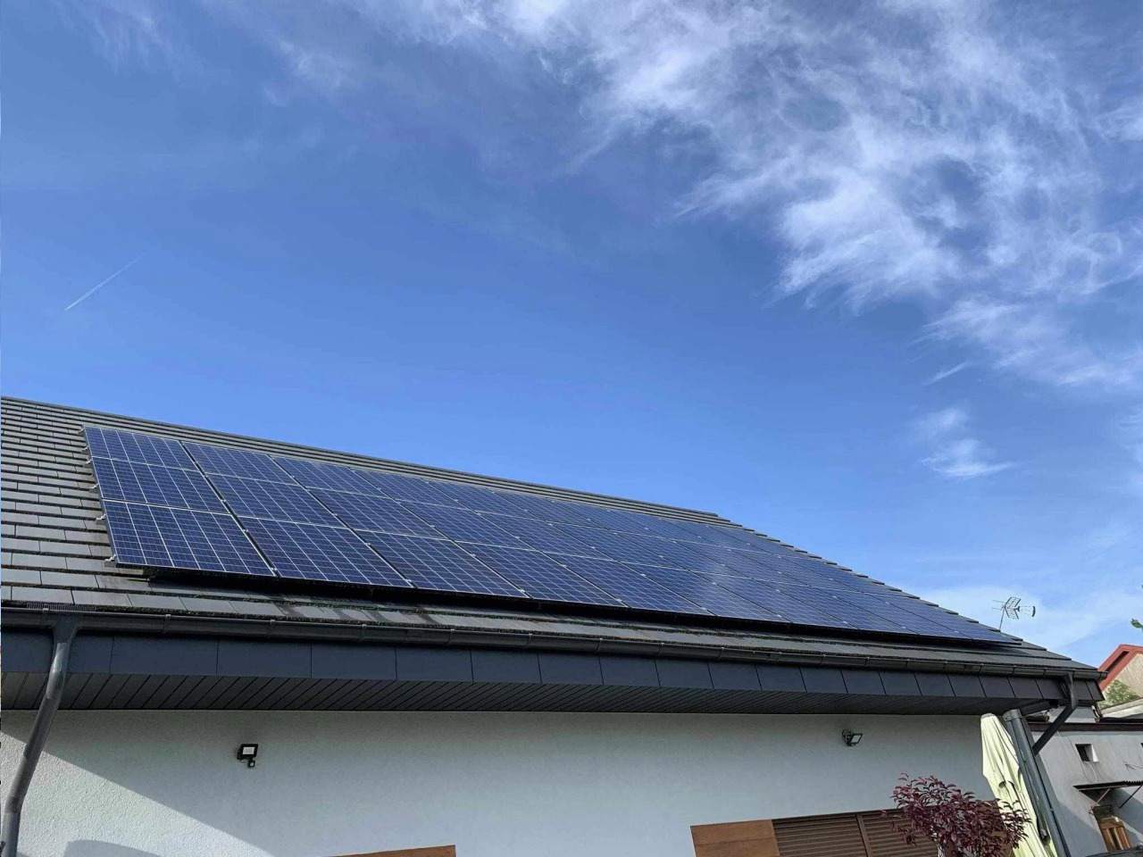 usługi sprzątające