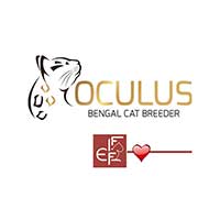 Oculus PL - Hodowla Kotów Bengalskich - Zwierzęta hodowlane