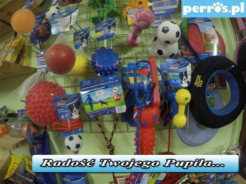 zabawki dla zwierząt