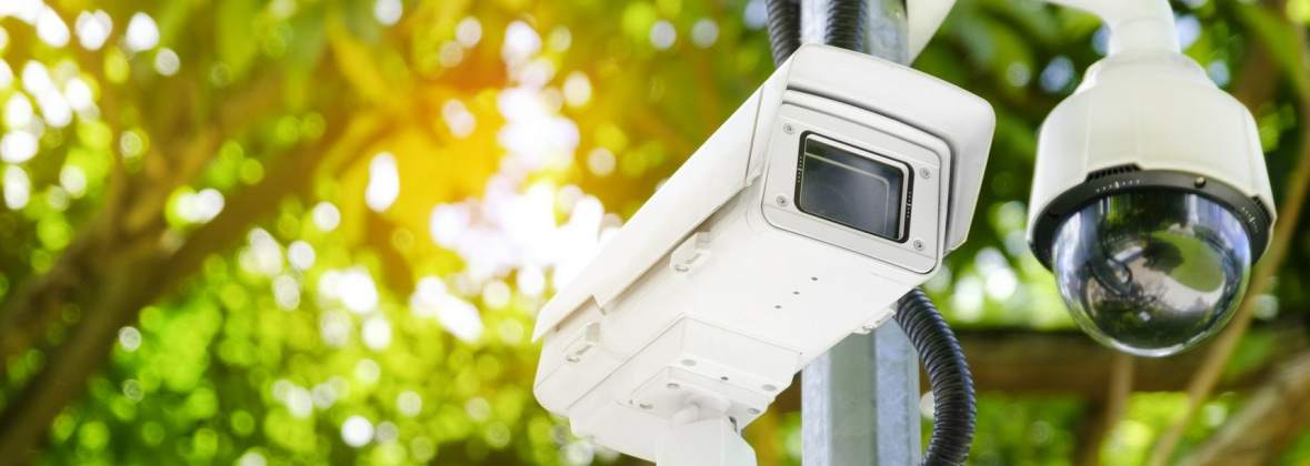 Serwitronik Paweł Molęda