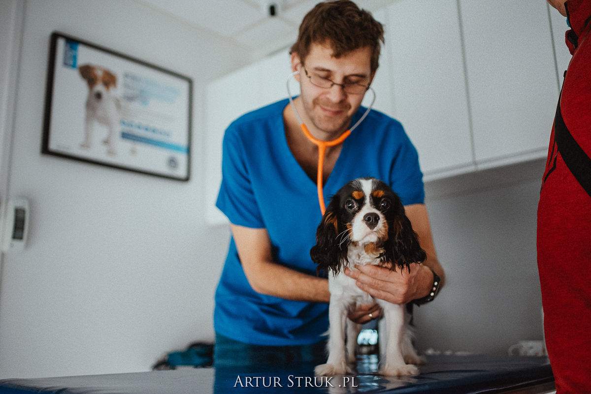 gabinet weterynaryjny, przychodnia weterynaryjna, weterynarz