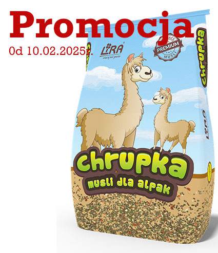 pasza dla alpak