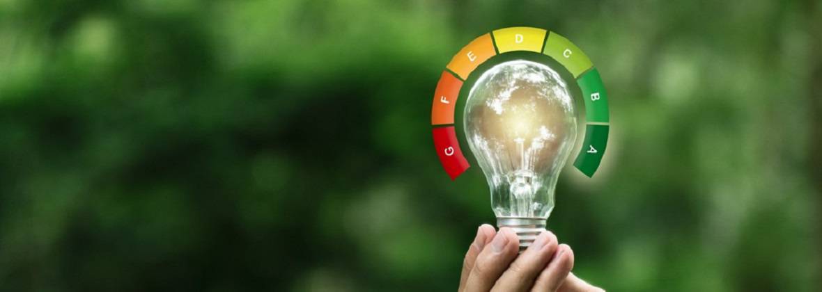 Dominik Adamczuk Świadectwa i Audyty