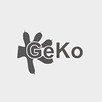 Geko-Wrocław Wojciech Zieliński - Geolodzy i geofizycy