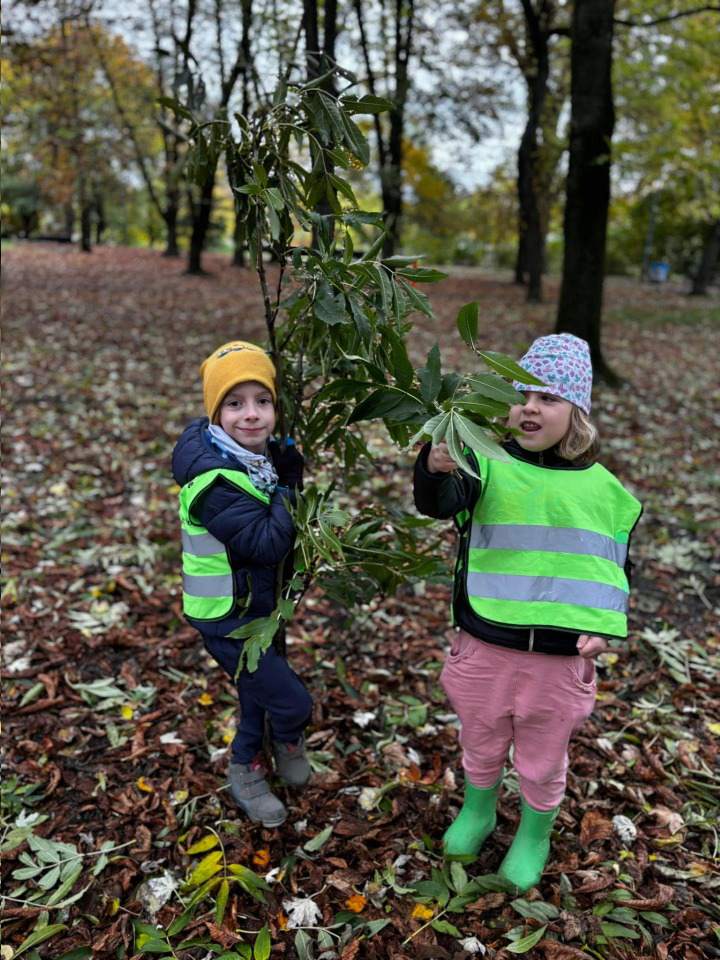 niepubliczne przedszkole