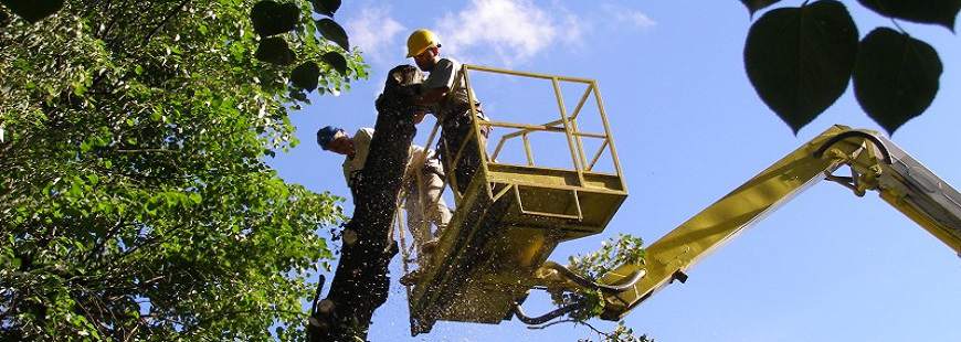 Alp-Lin Bato-Małopolska Adam Piątkiewicz