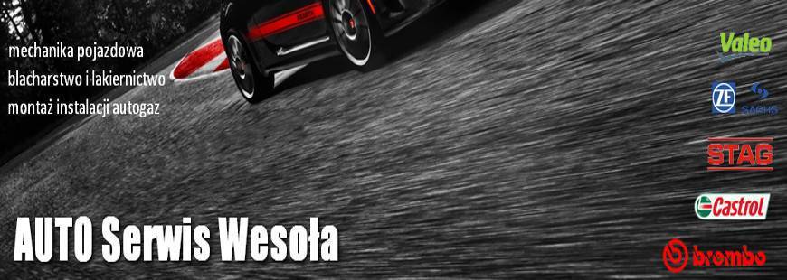 Zdzisław Nielipiński Blacharstwo i mechanika pojazdowa