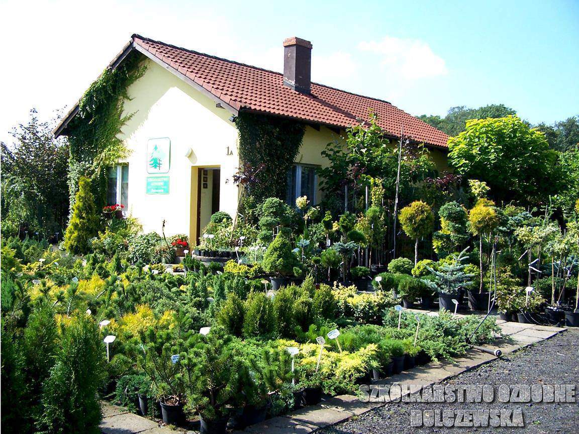 budynek szkółki-punkt sprzedaży roślin