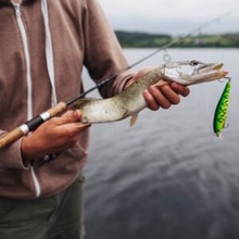 artykuły wędkarskie