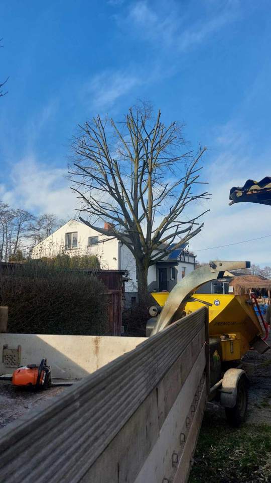 usługi podnośnik koszowym