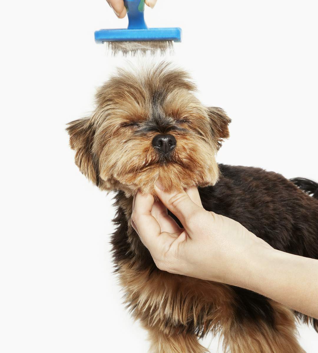 Stylowy Pupil Ewa Szeląg