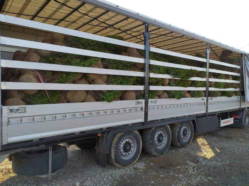 przewóz ładunków całopojazdowych