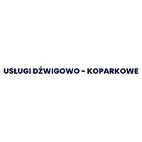 Dariusz Łukasz Witkowski Usługi Dźwigowo- Koparkowe, Sokołów Podlaski