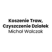 Koszenie Traw, Czyszczenie Działek Michał Walczak - Ogrodnictwo