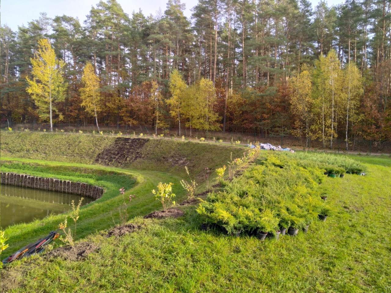 pielęgnacja ogrodów