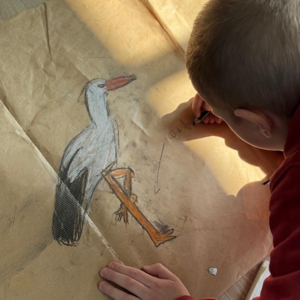 Niepubliczna Szkoła Podstawowa Kropka