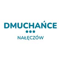 Dmuchańce Nałęczów Iwona Łukiewicz - Parki rozrywki