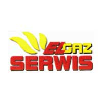 Elgaz Serwis Serwis kotłów gazowych Andrzej Wielgusiak - logo
