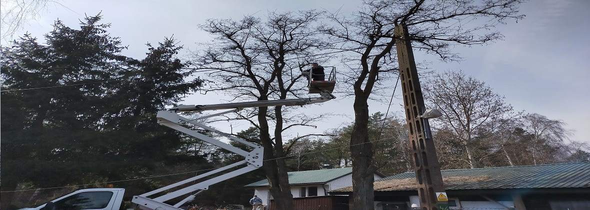 Anjar Jarosław Krawczyk