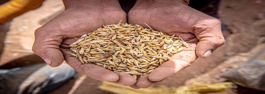 Radex PHU Grzegorz Radecki