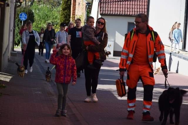 transport osób niepełnosprawnych