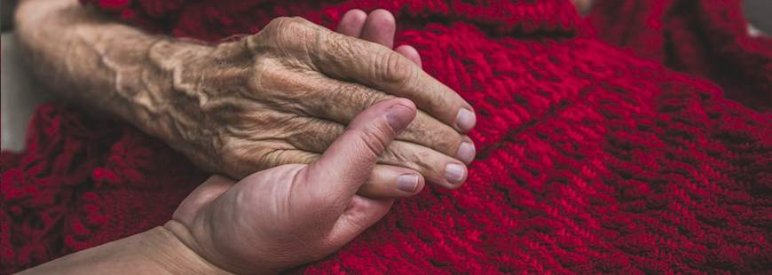 Niepubliczny Zakład Opieki Paliatywno - Hospicyjnej