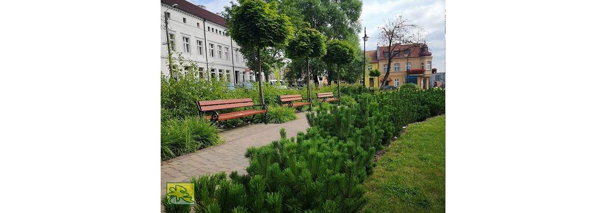 M.B. Ogrody Beata Szczepańska