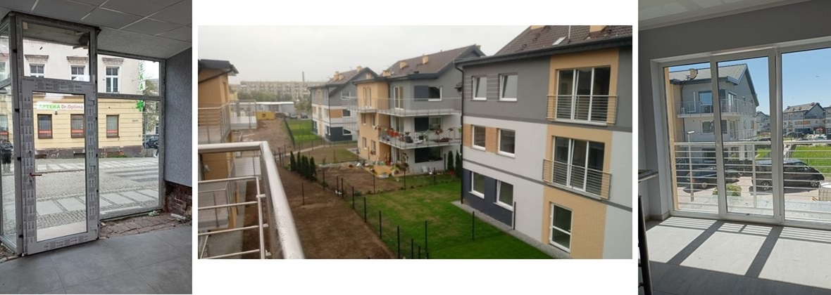 Falcon Kamila Sokołowska