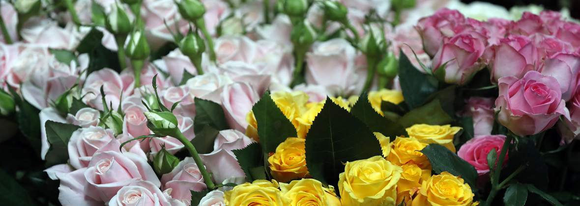 Witkowska Danuta. Kwiaciarnia