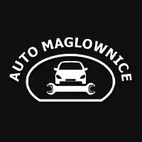 Auto Maglownice Regeneracja i Naprawa Przekładni Kierowniczych - Stacje obsługi i warsztaty samochodowe