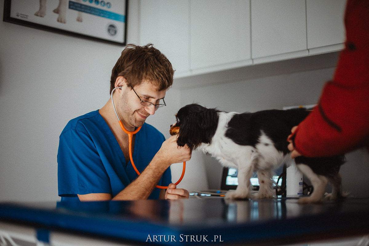 gabinet weterynaryjny, przychodnia weterynaryjna, weterynarz
