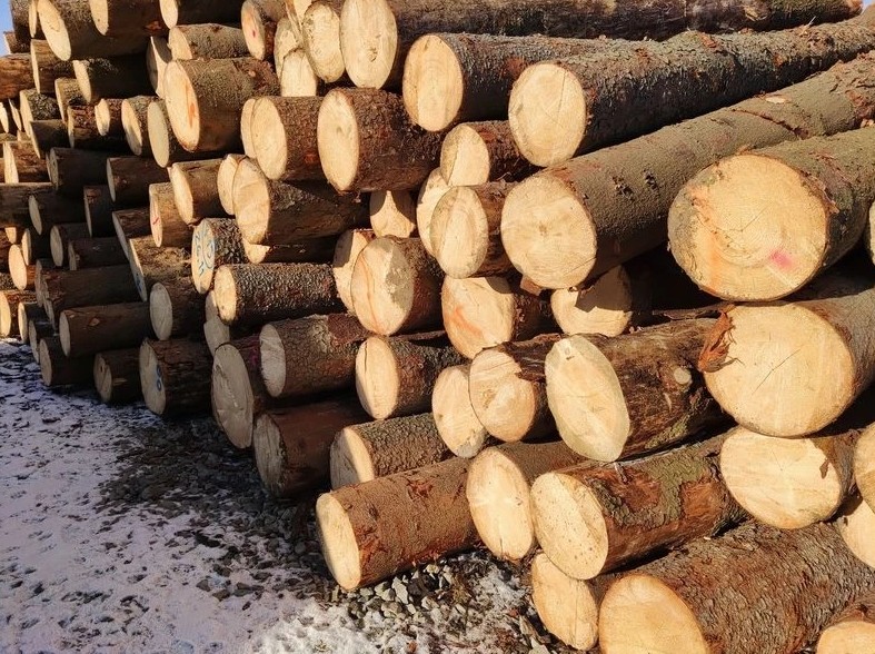 tartak, sprzedaż drewna, drewno budowlane