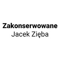 Zakonserwowane Jacek Zięba - Stacje obsługi i warsztaty samochodowe