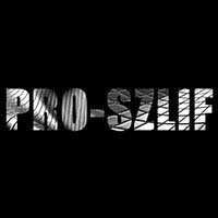 Pro-Szlif Adam Ebert - Ostrzenie