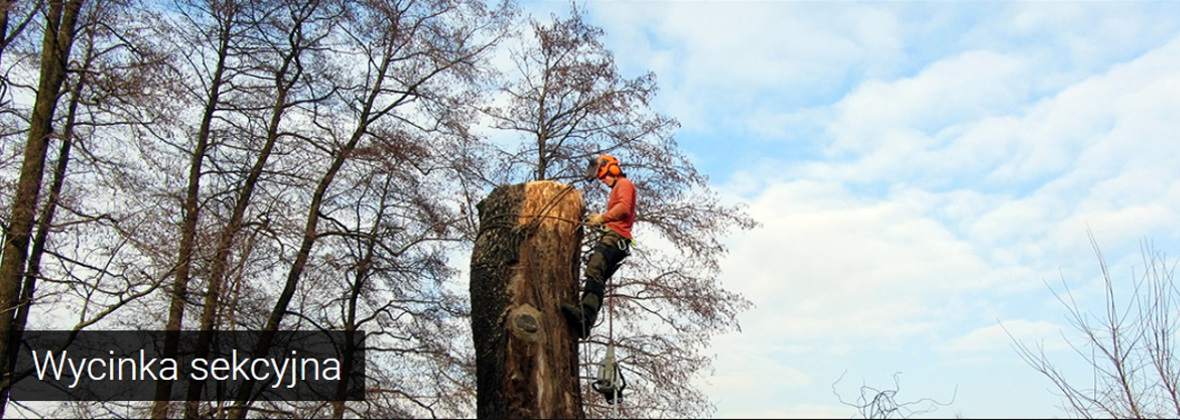 Alpin Usługi wysokościowe Radosław Pająk