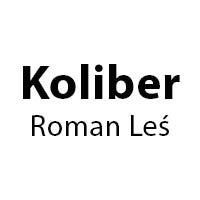 Roman Leś FHU "KOLIBER" - Wentylacja