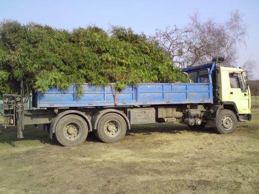 kontenery - wywóz gruzu