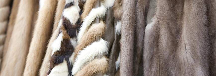 Kreacja-Moda Elżbieta Kwasiborska