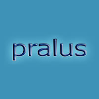 Pralus Systemy pralnicze - Wyposażenie pralni i farbiarni