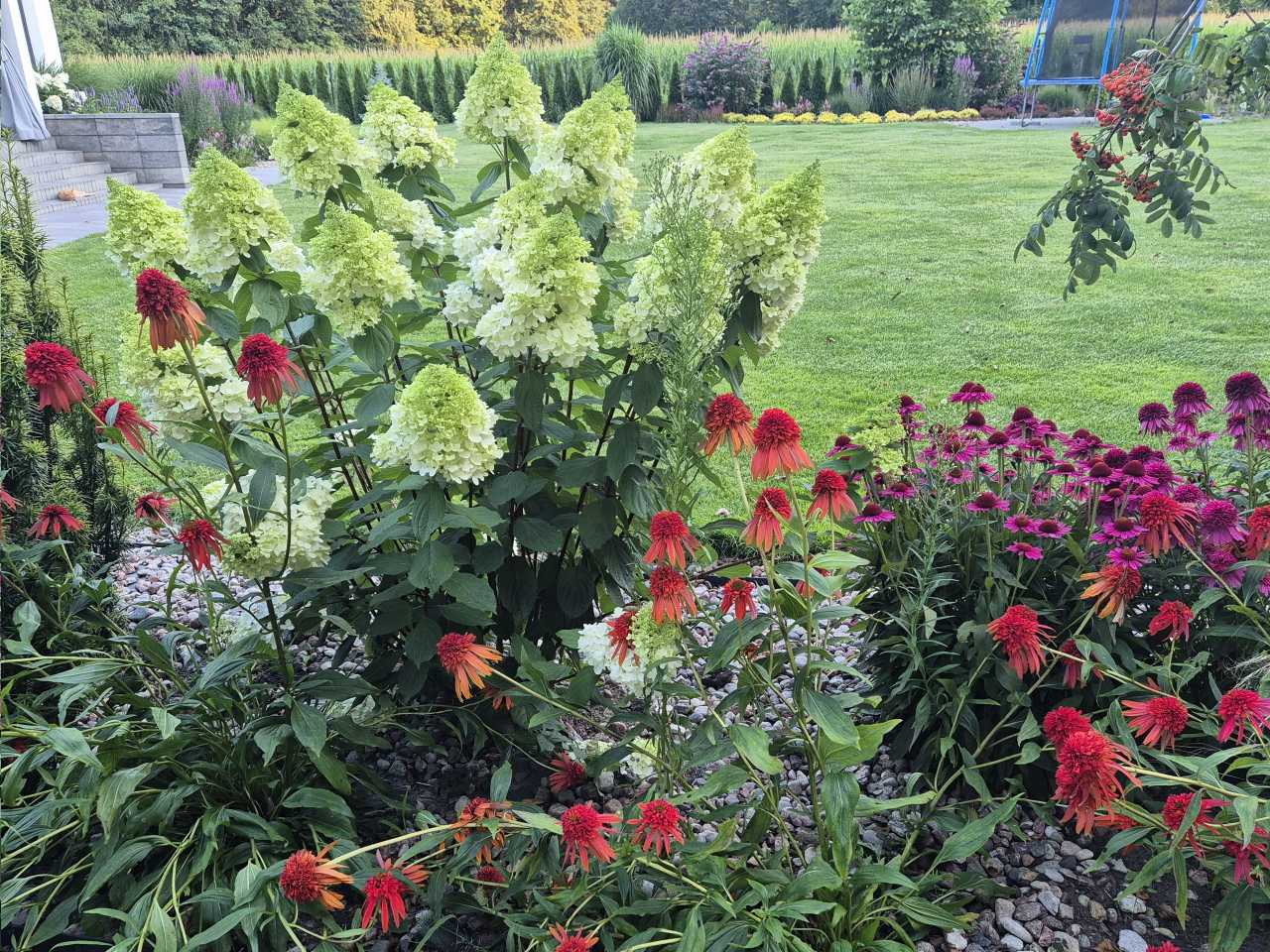 cięcia formujące drzew i krzewów