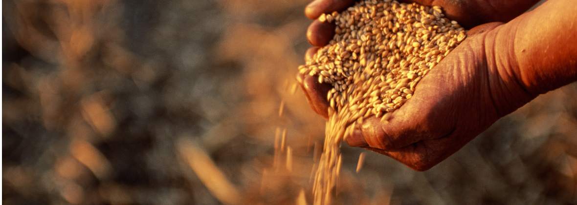 Tm Wood Supply Tomasz Marach, Bydgoszcz