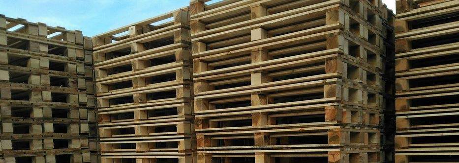 Roland Tomasz Krzyżaniak